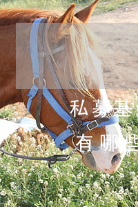 私募基金的創(chuàng)新融資方式有哪些？